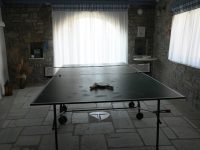 Villa-Intime-Paros-by-Olive-Villa-Rentals-table-tennis