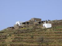 Villa Soleil in Tinos by Olive Villa Rentals