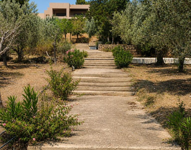 10 .Path to the Villa