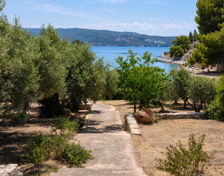 5. path to the beach