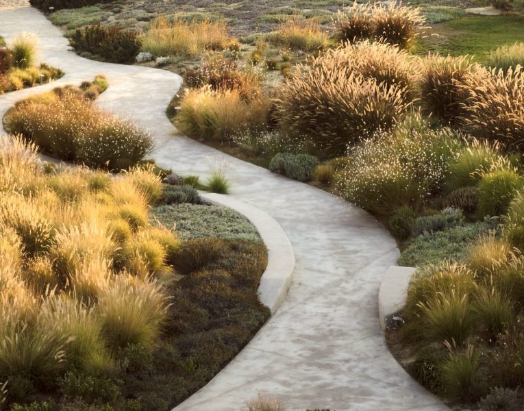 Ionian Garden in Zakynthos by Olive Rentals 01