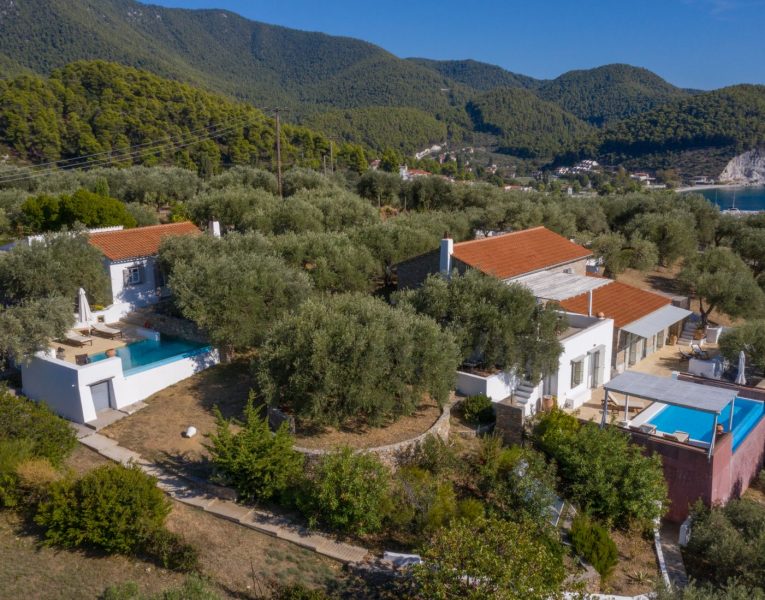 Olive Villa Rentals-Skopelos- Villa Selena-03