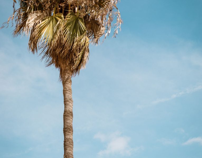 Olive Villa Rentals- Spetses- Villa The Palm