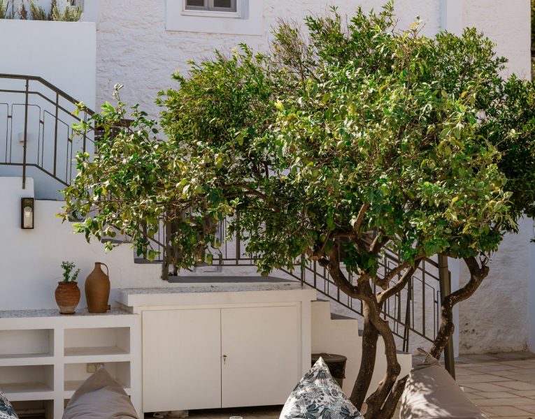 Olive Villa Rentals- Spetses- Villa The Palm