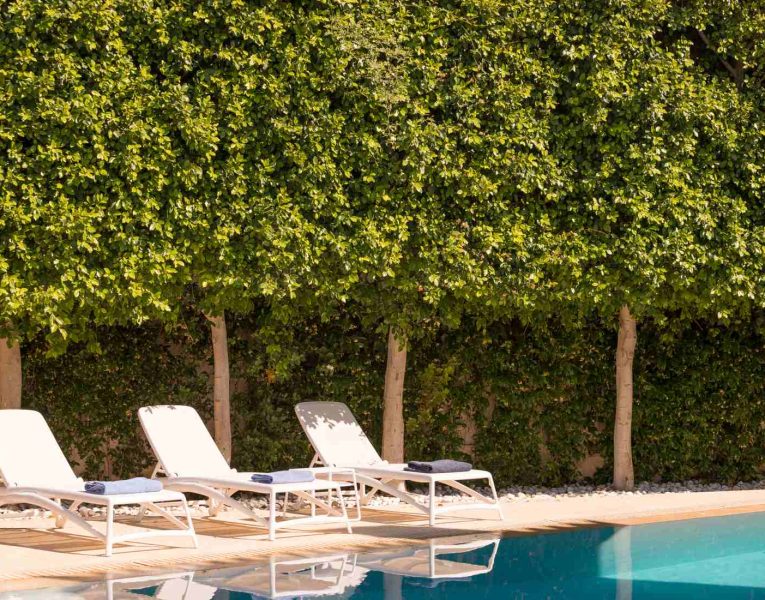 Villa- Arte-Spetses-by-Olive-Villa-Rentals-pool-area