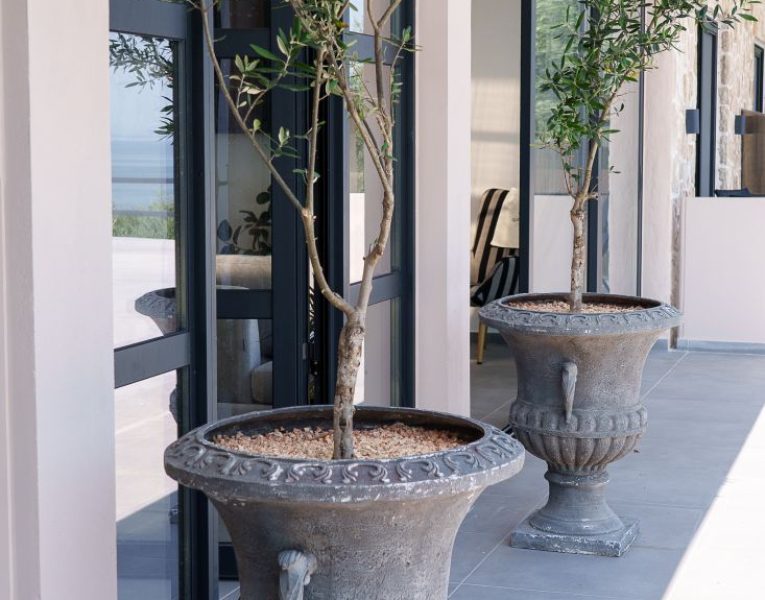 Villa Calma by Olive rentals 20