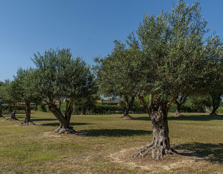 Villa-Elia-gallery-image022