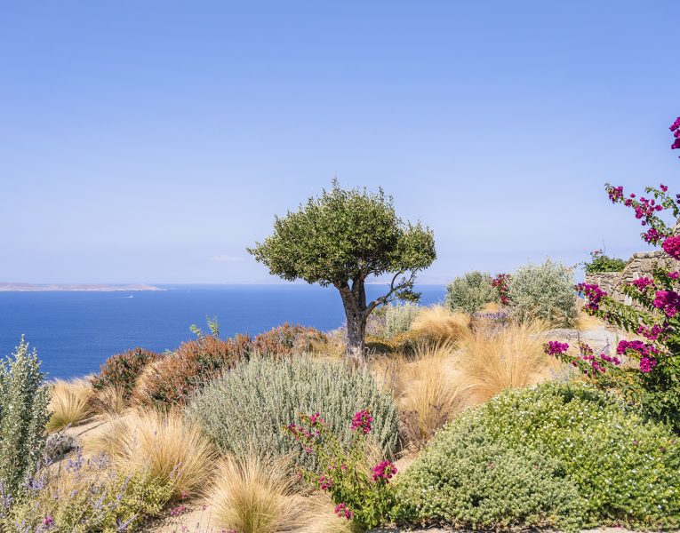 Villa Faros Mykonos gallery image036