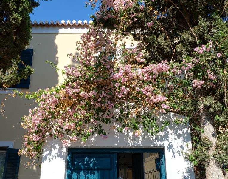 Villa Nefeli Spetses-image048