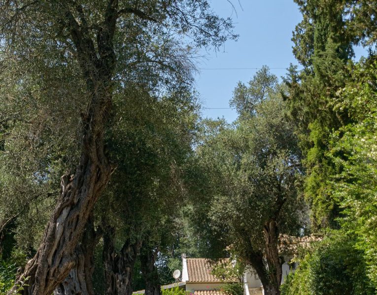 Villa Sunrise-gallery image011
