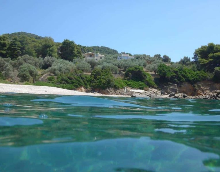 Villas-Alonnisos-olivevillarentals-Sabbia32