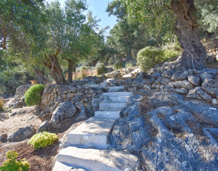 Villas -Corfu by Olive Villa Rentals -Villa Cyrene37