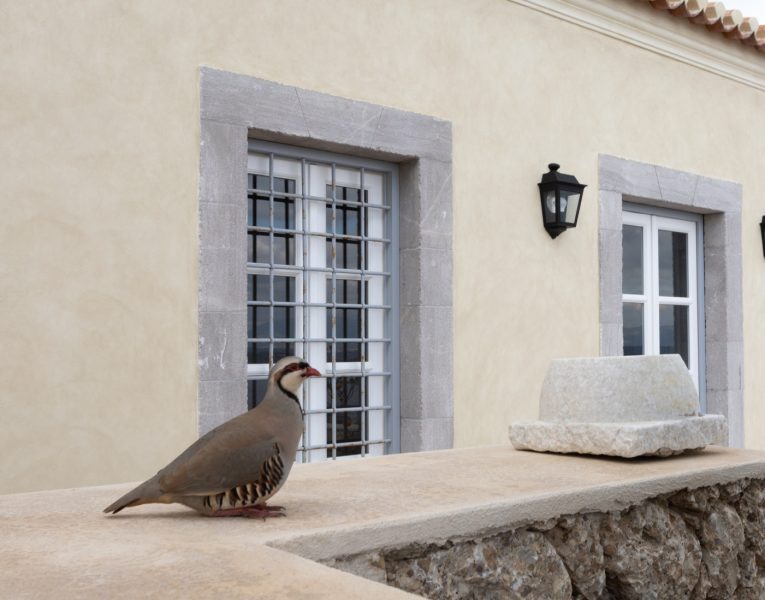 Villa Aloni in Spetses by Olive Villa Rentals