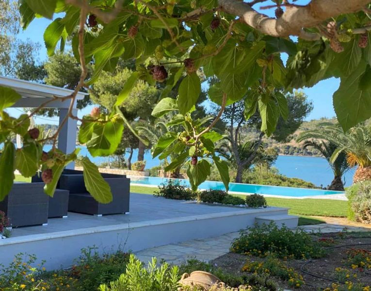 Villa- Dahlia-Porto Heli-by-Olive-Villa-Rentals-pool-area