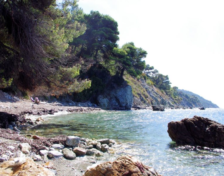 Villa-Breeze-Skopelos-by-Olive-Villa-Rentals-beach-views