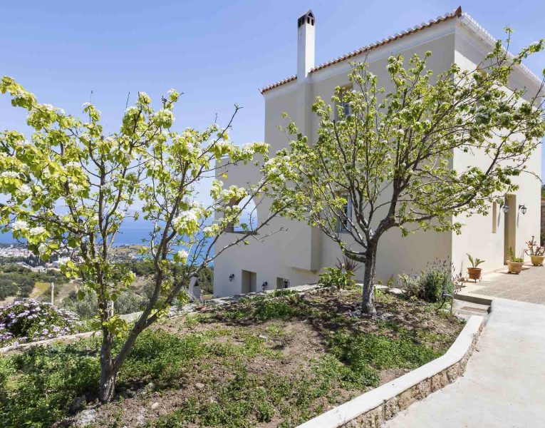 Villa- Lilium -Spetses-by-Olive-Villa-Rentals-exterior-area