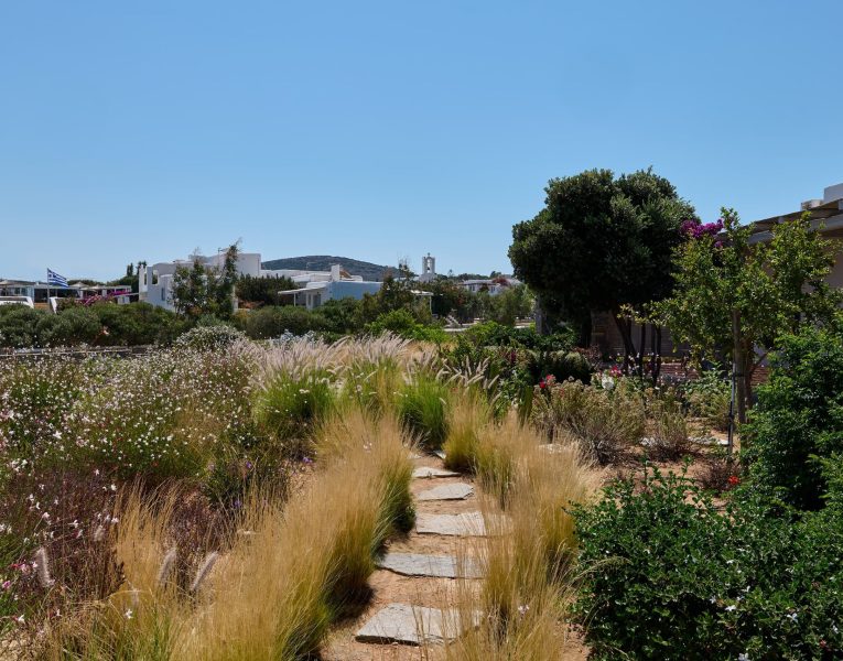 new images-Dolce-image052
