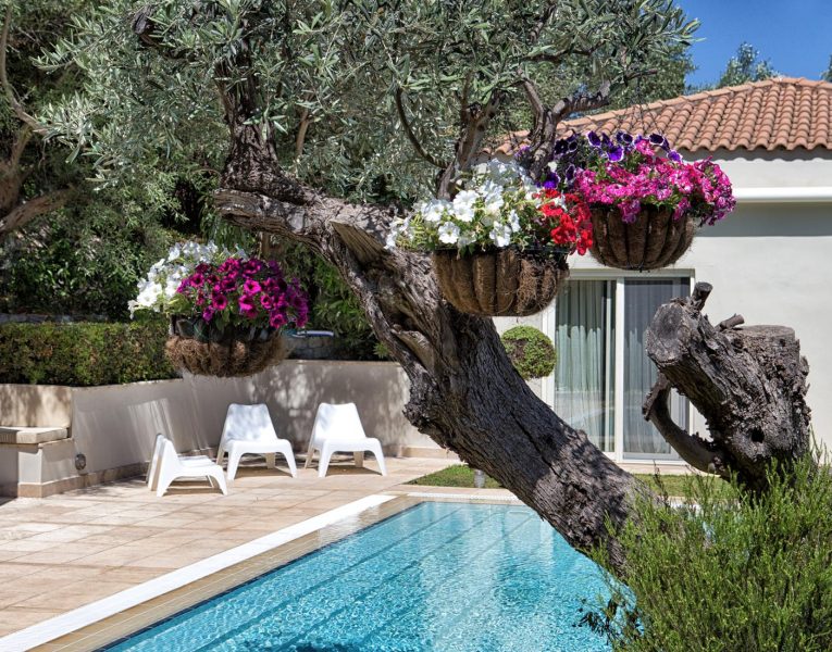 Villa Marbella in Evia by Olive Villa Rentals