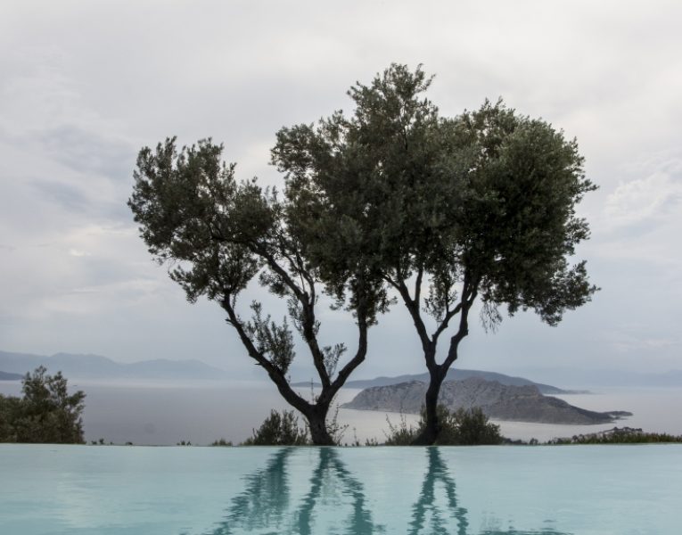 Villa Carolina in Aegina by Olive Villa Rentals