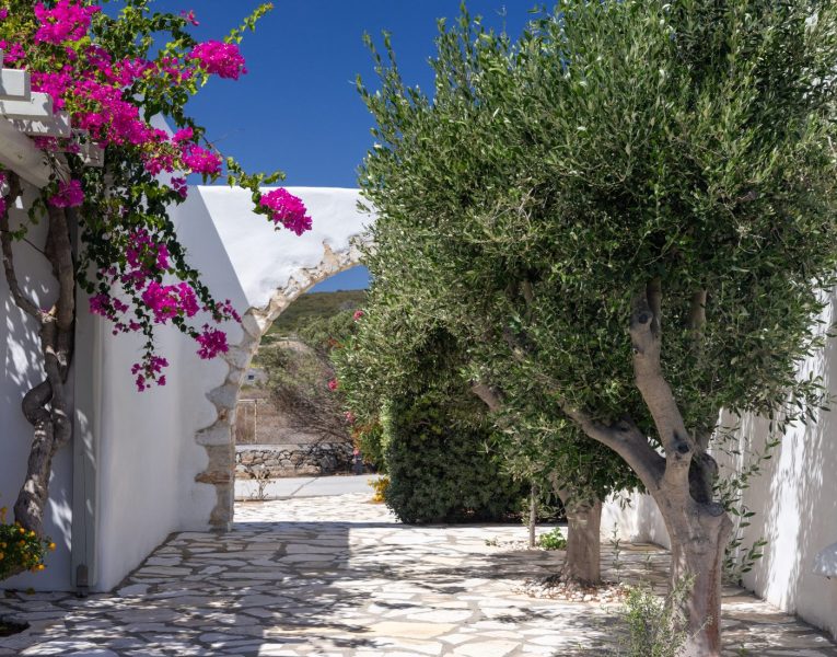 Villa Naira in Paros by Olive Villa Rentals