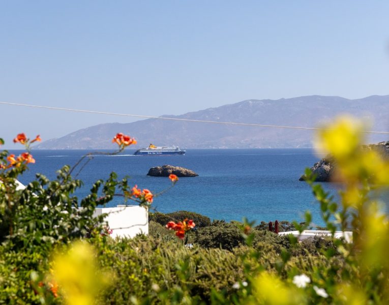 Villa Naira in Paros by Olive Villa Rentals